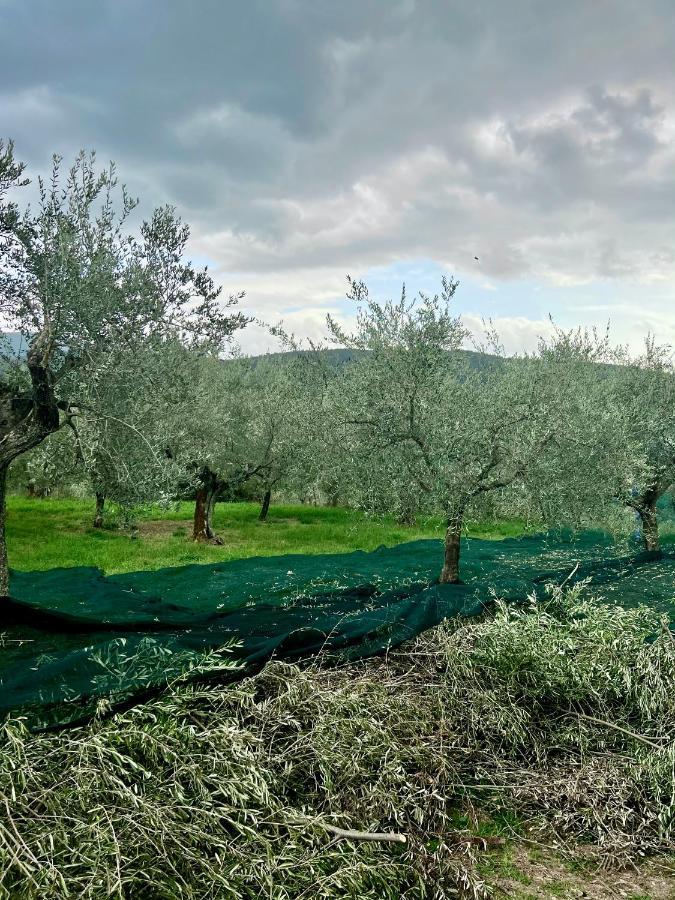 Poggio Pieve Relais *